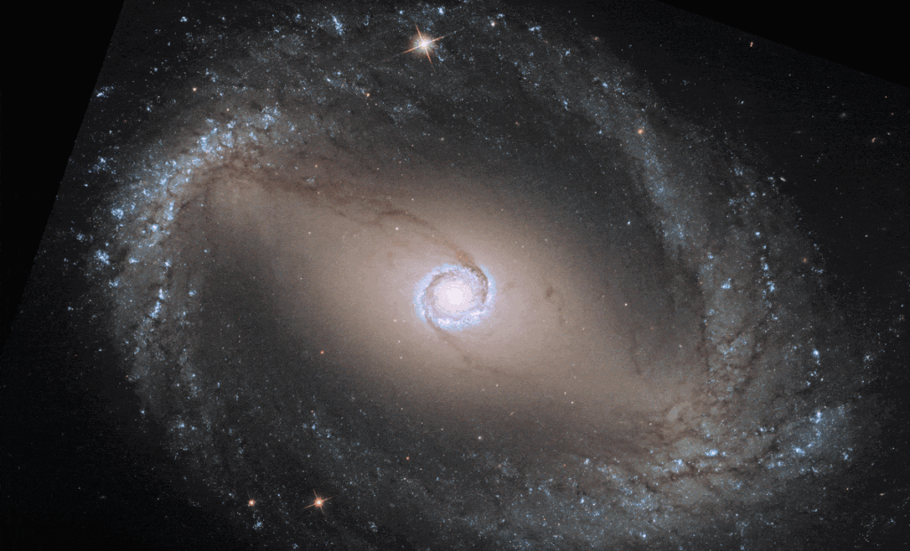 Webb's image of NGC 1512 shows a face-on barred galaxy anchored by its central region, which is spherical and shows a bright white center with blue and yellow circles around it. The giant bar of the galaxy is crossed by filamentary dust lanes that extend diagonally to the upper left and lower right. The bar is connected to a thick circular ring of orange spiral arms starting at the edges of the bar.